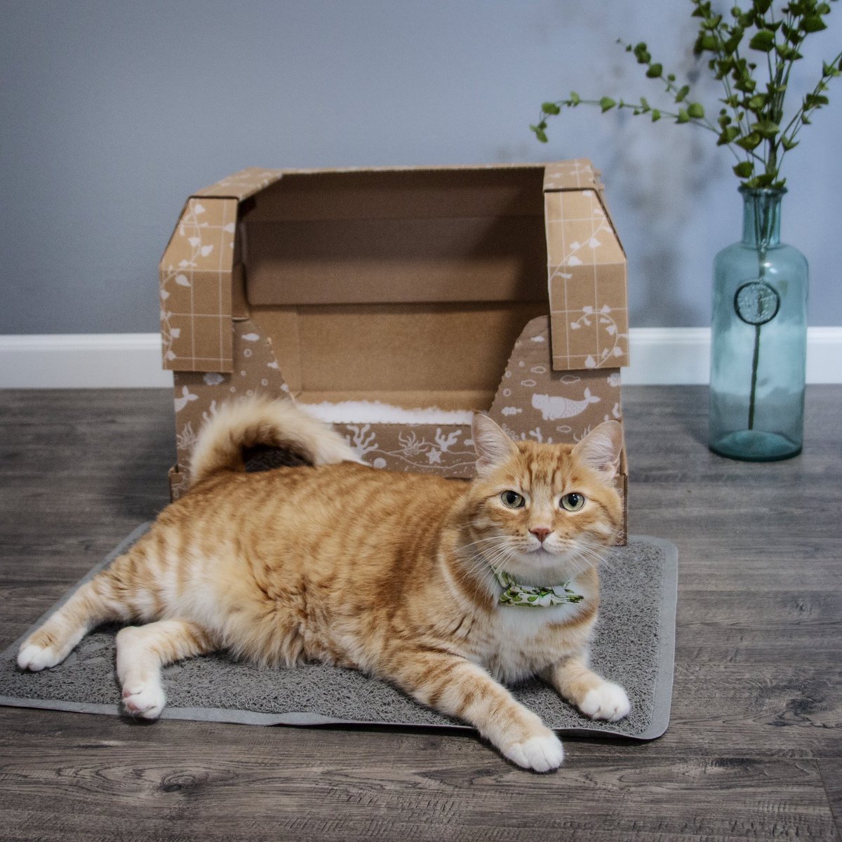 CrazedRayRay's tweet photo. Are you part of the @kittypooclub!? 😻 What is #kittypooclub? The best monthly litter solution EVER! Get 40% off your first auto-ship order of litter boxes and/or bags! #sponsored #kittypooclub https://t.co/nVk6SVauBB https://t.co/2c30TD3NKT