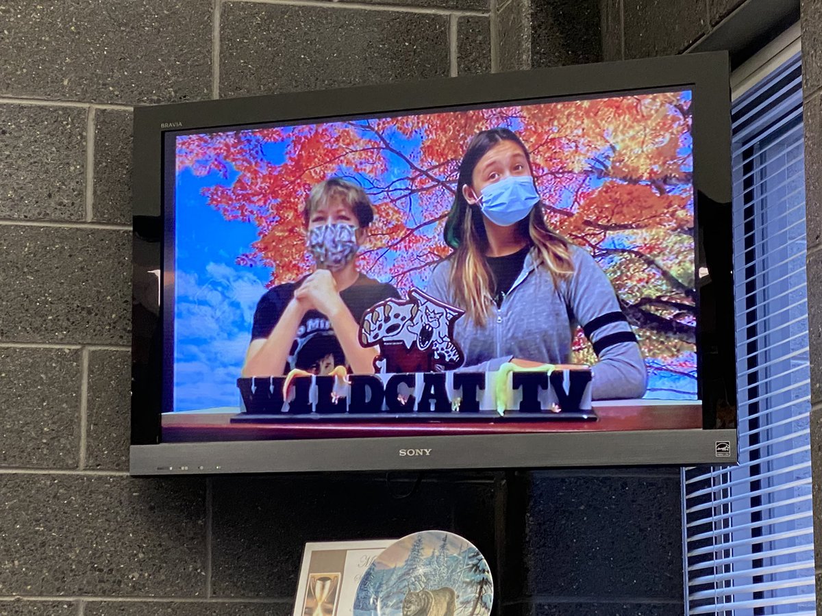 MMS_principals's tweet image. Wildcat TV is back! #schoolnews #masdproud