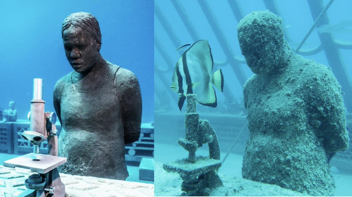 The Museum of Underwater Art at John Brewer Reef showcases science, art, culture and tourism. The ocean is transforming the sculptures after almost 2 years. @MTQ_Townsville <a href="/TSVEnterprise/">TownsvilleEnterprise</a> <a href="/gbrmarinepark/">Great Barrier Reef Marine Park Authority</a> <a href="/jcu/">James Cook Uni</a> <a href="/TCC_PercTucker/">TCC_Perc Tucker</a> <a href="/SeaLinkQLD/">SeaLink Queensland</a> <a href="/JasondeCairesT/">Jason deCairesTaylor</a>
