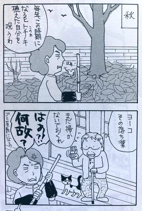 【祖母みや子98時】
秋。そういえば今日林修先生が同じ事を朝の情報番組で出題していましたね←秋の季語😊🍁 