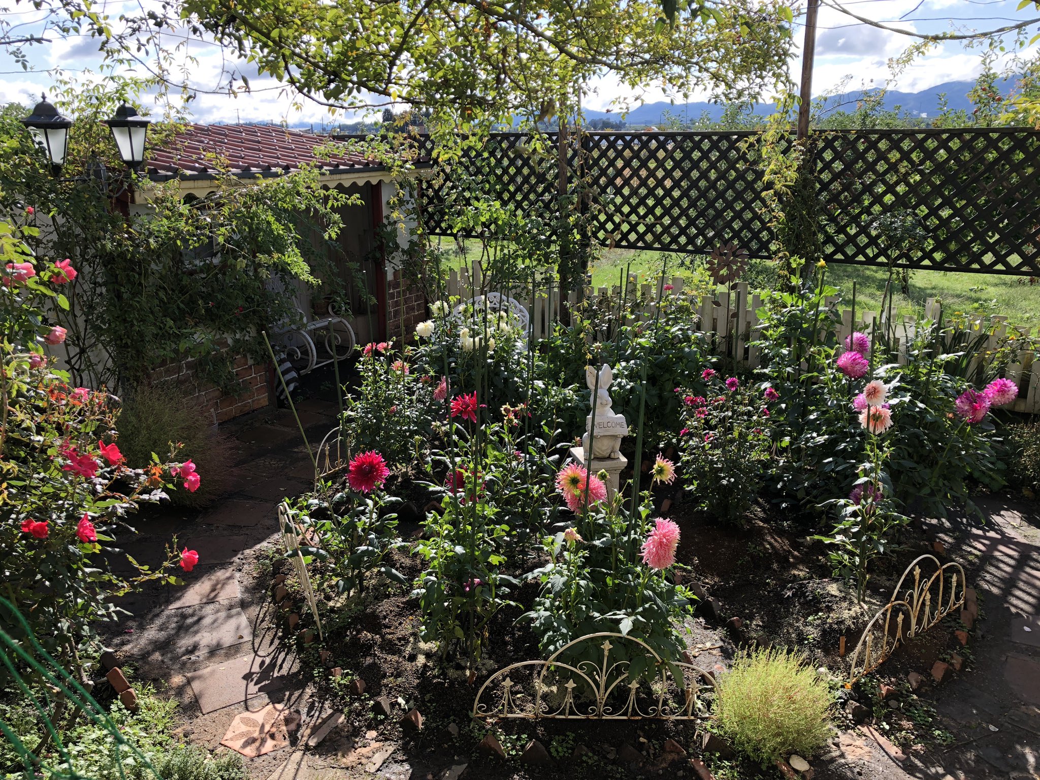 バラの庭づくり Twitter Search Twitter