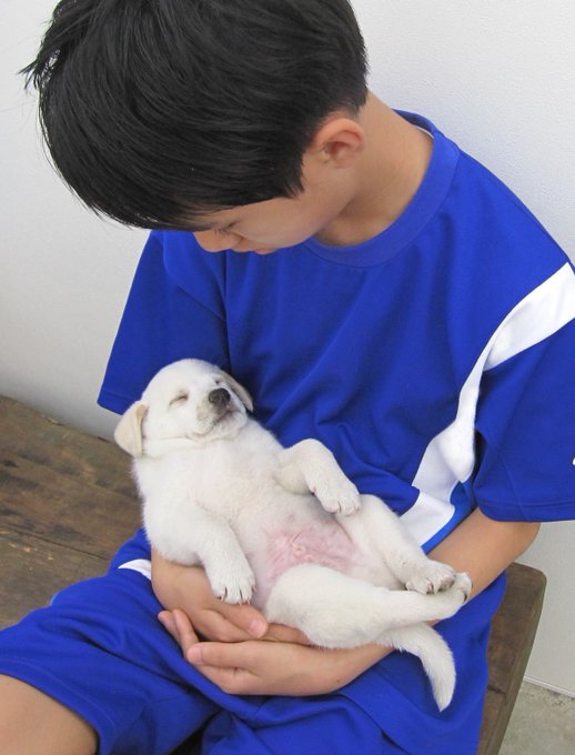 保健所から引き取った子犬が 思っていた以上に大きくなりました 体重24キロになった保護犬のビフォーアフターが感慨深い ねとらぼ