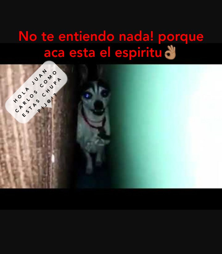FernandoGzzM's tweet photo. Escuchando la pop en casa! 😎 que los dominados miren tv!! Ya esta en mi historia de ig y facebook la imagen de la pop 👌🏽
😎😎👻👻☠☠
#de20a24popradio
#hectorlocutor https://t.co/VjsFueZevP