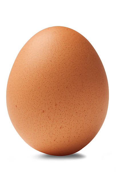 Vsauce tweet media