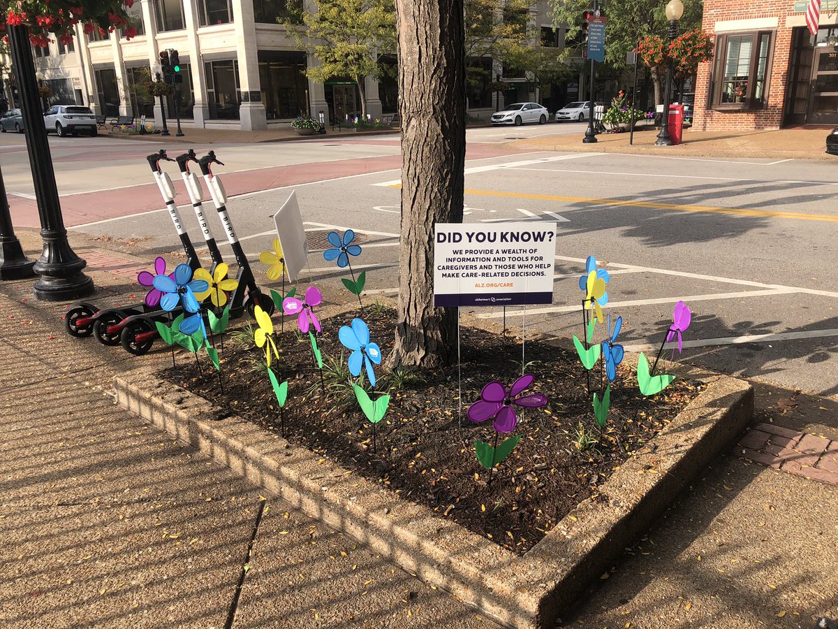 NatalieWiens's tweet photo. The Missouri State Capitol is lit purple tonight to raise awareness for Missourians impacted by Alzheimer’s disease. Today @bellabailey44 and I went to Jefferson City to talk with coordinators of Alzheimer’s Awareness Day. They decorated downtown with flower pinwheels. @KOMUnews https://t.co/TgMKiGWMwY