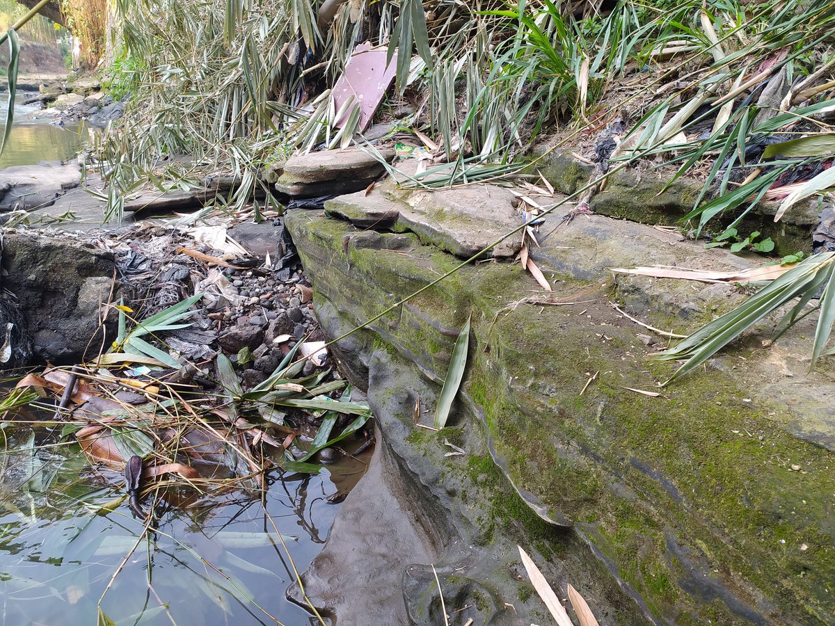 Ini adalah singkapan Endapan Danau Bandung Purba di Ci Kapundung, sekitar Batununggal. Singkapan yg sederhana, tapi menyimpan sejarah ketika Bandung masih berupa danau antara 135-20 ribu tahun silam. Apa yang menyebabkan terbentuknya danau?