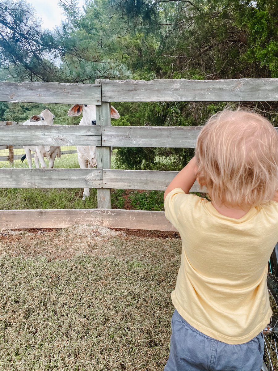 k3walker's tweet image. Tweet tweet, it’s been awhile 🙃