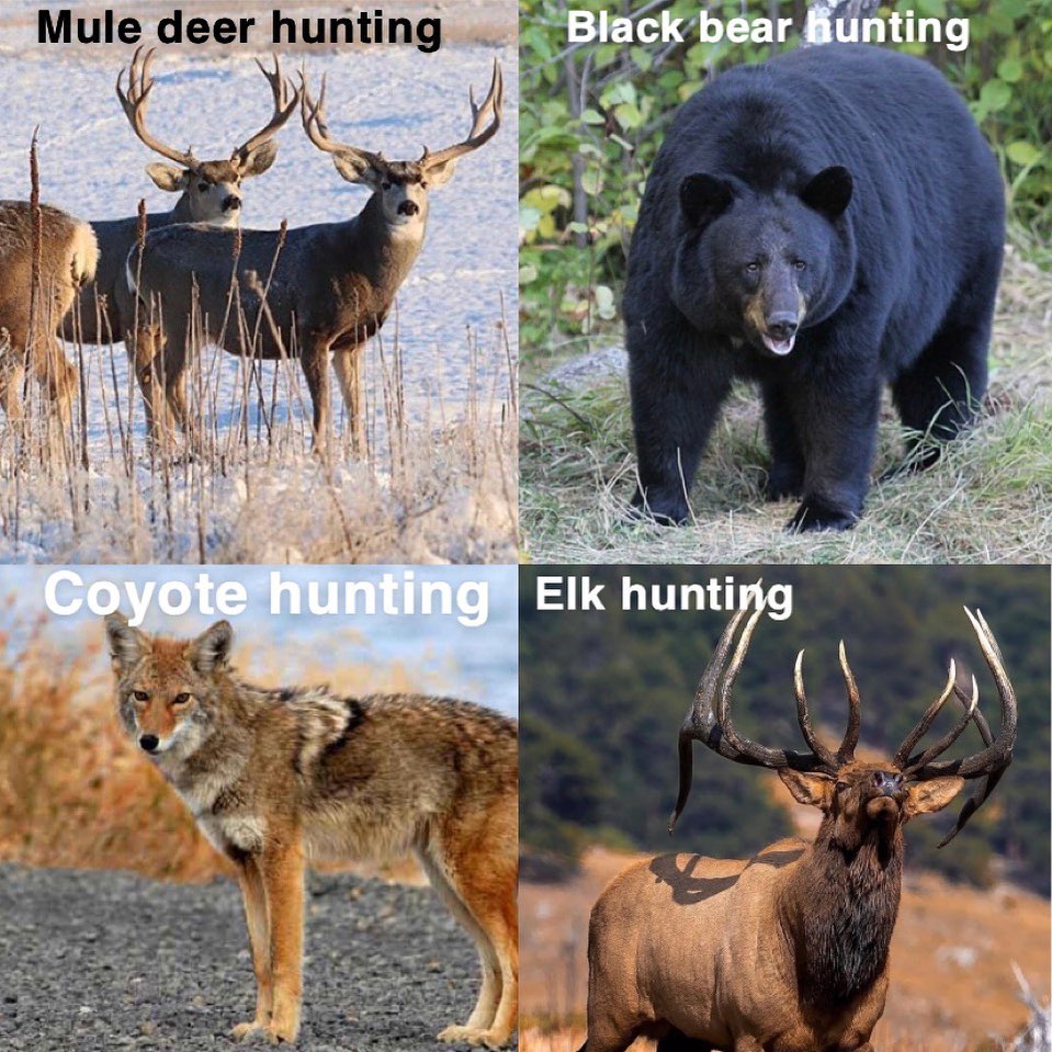 What gets your adrenaline pumping?