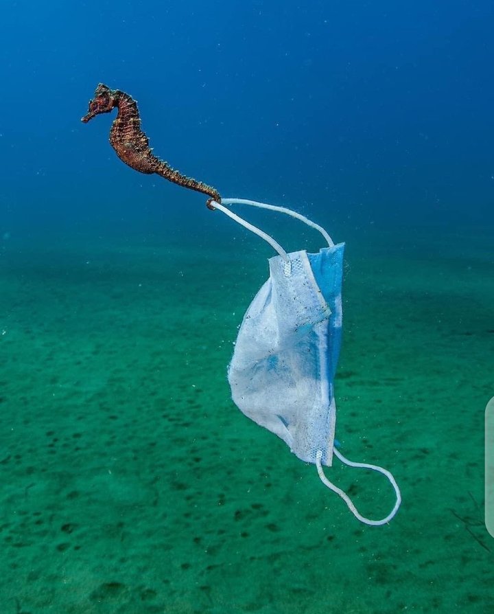 StoreWak's tweet photo. Jangan buang sampah sembarang tempat. https://t.co/qdCFZOzCYD