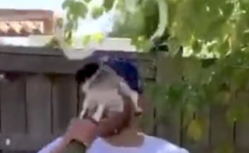 And season series matters how much when the Yankees took 2 of 3 from Toronto in the last week of the season and are now playing in the WC game while your team is at home?  Congrats on the season series my guy!  Keep popping bottles in September.