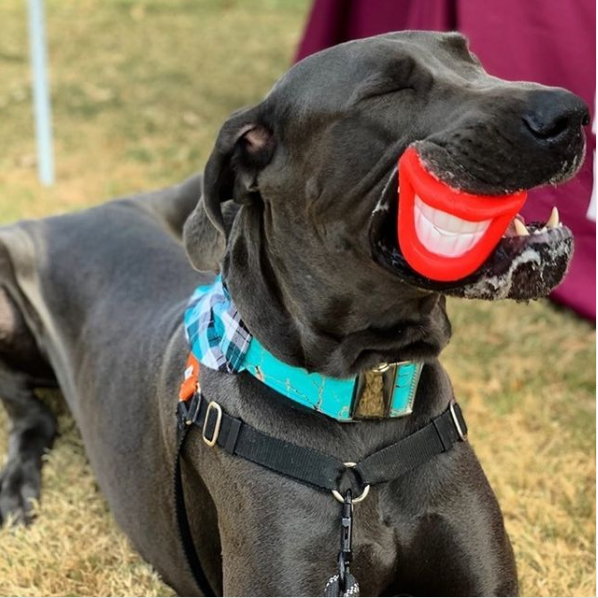 Chandler Recreation tweet media