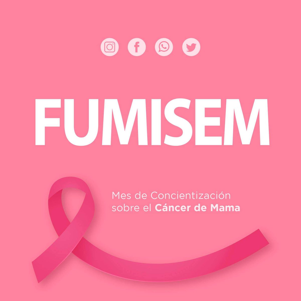En Octubre conmemoramos el Mes de la Concientización sobre el Cáncer de Mama, instaurado por la Organización Mundial de la Salud (OMS), como una forma de promover la detección temprana y el tratamiento adecuado.