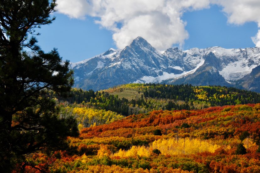Fabulous #Fall  in #Colorado!!  #October oh so spectacular picture📸 by Ann Duncan