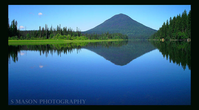 Marylou Lower (@lowermarylou) on Twitter photo 