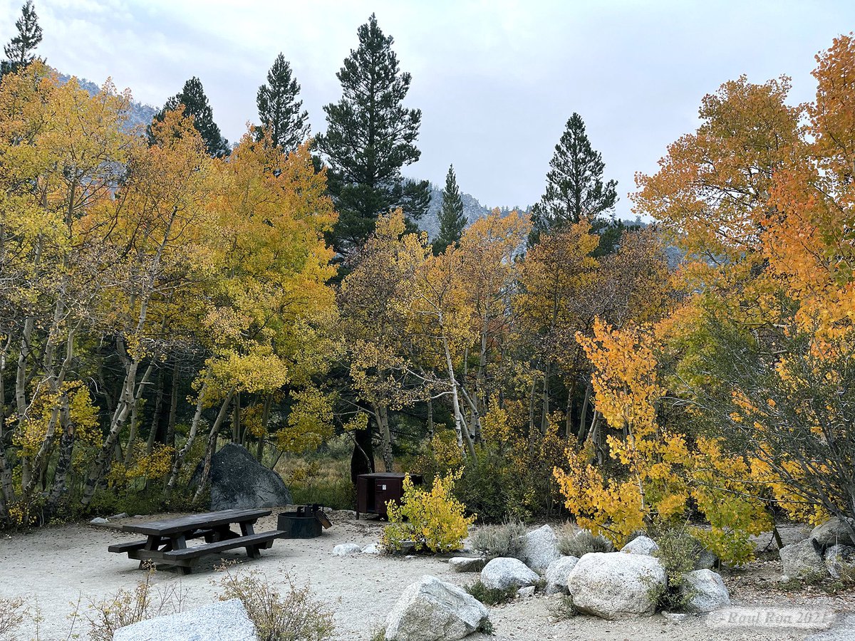 Raul Roa tweet media