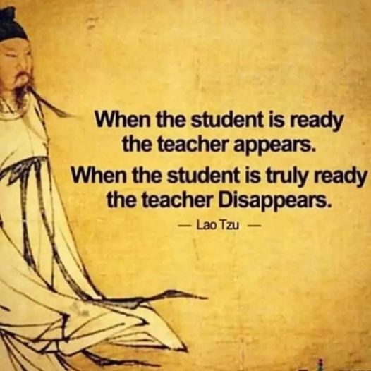 TrainingMindful's tweet photo. https://t.co/sqWODQJsMJ