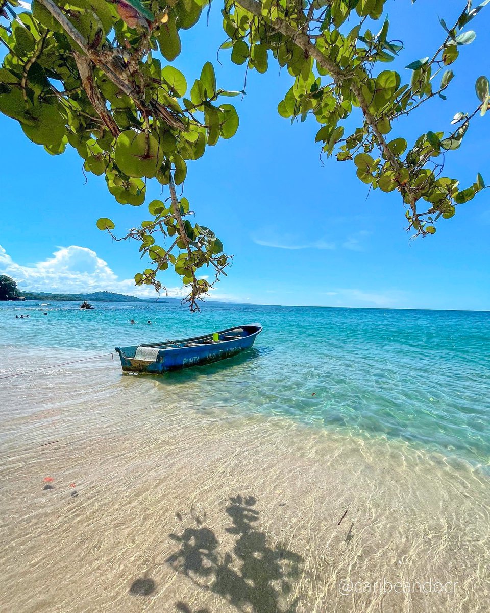 Aún están a tiempo de visitar el Caribe Sur en su mejor época 🍋😍

@ caribeandocr