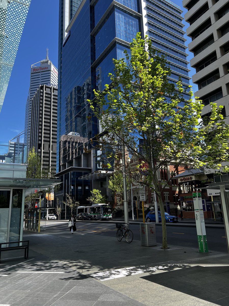 rayschippers's tweet image. Beautiful day today. Finally some proper Perth weather