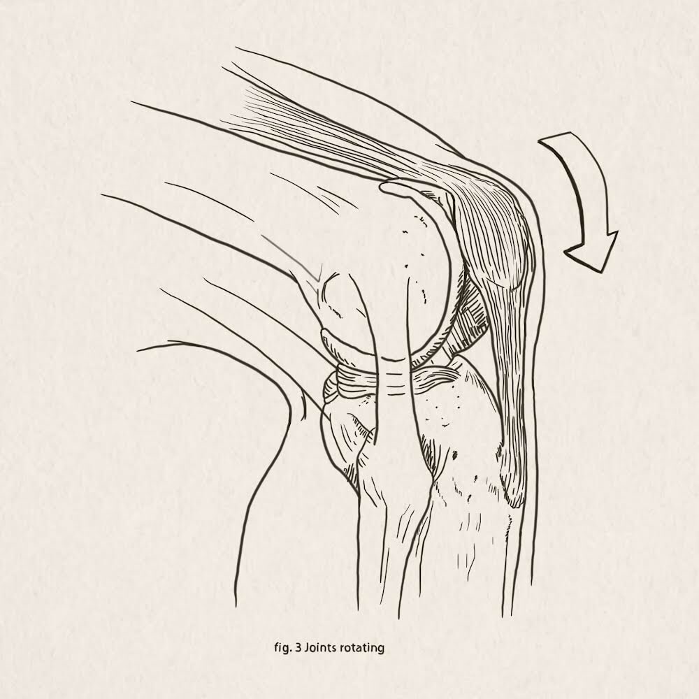 Fig. 3 Joints rotating #sciart #31figuresofsciart #medicalillustration #penandink #sciartober #sketch #medart 