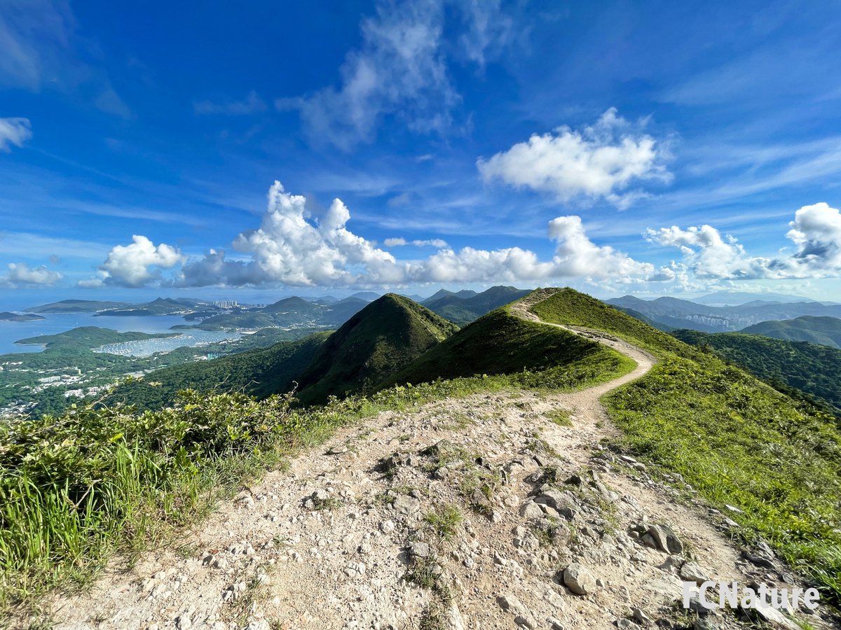 FCNature's tweet photo. Near the top of the Wan Kuk Shan, there is a place for parasailing.
#WanKukShan #parasailing
#hiking #trekking #trailing #green #nature #hikinghk #hikingday #hikingtrail #hikingculture #sports
#FCNature #FCNaturesports #natureinthecity #explore #weekend #hongkong #hk #香港 https://t.co/Vl3daL4O0C