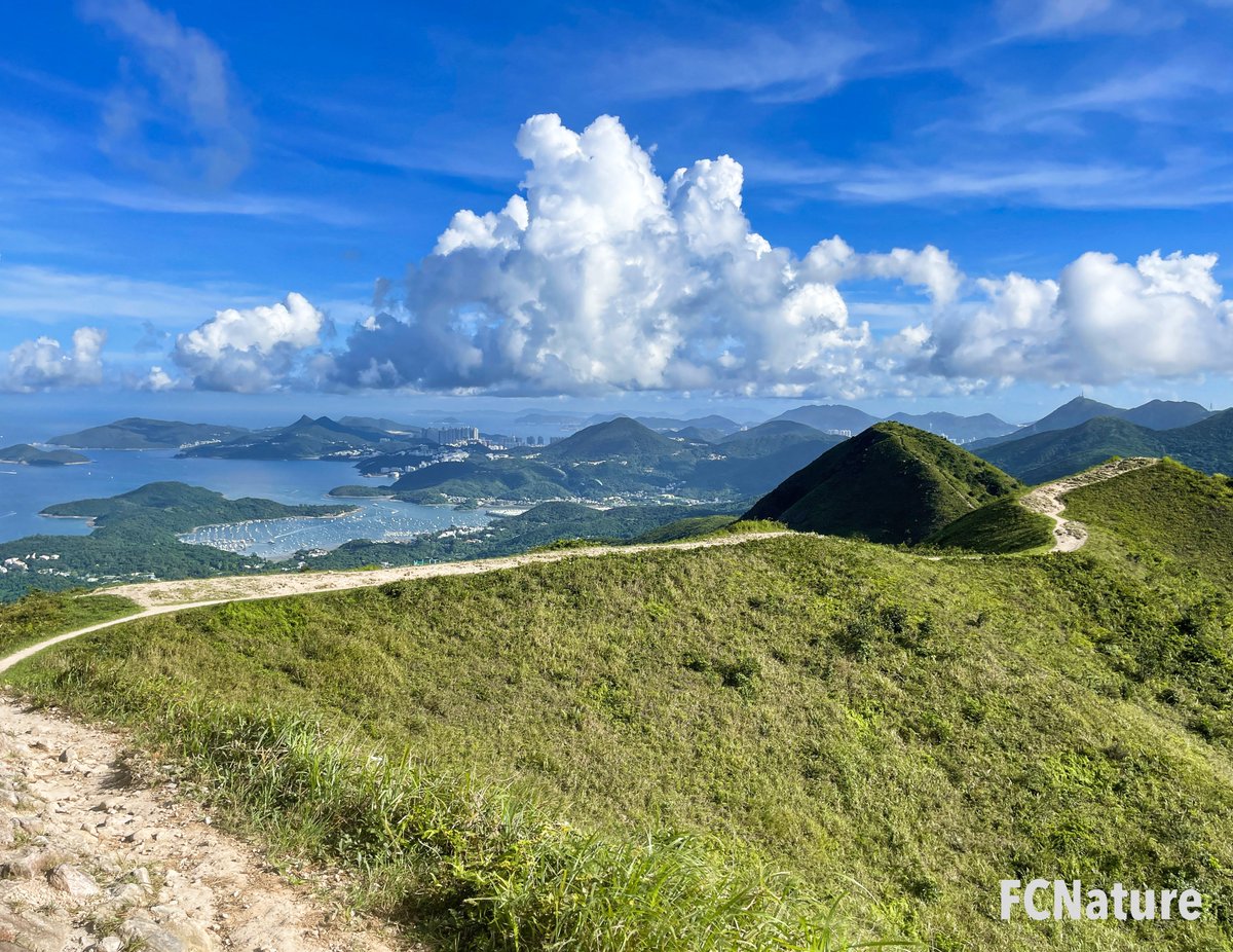 FCNature's tweet photo. Near the top of the Wan Kuk Shan, there is a place for parasailing.
#WanKukShan #parasailing
#hiking #trekking #trailing #green #nature #hikinghk #hikingday #hikingtrail #hikingculture #sports
#FCNature #FCNaturesports #natureinthecity #explore #weekend #hongkong #hk #香港 https://t.co/Vl3daL4O0C