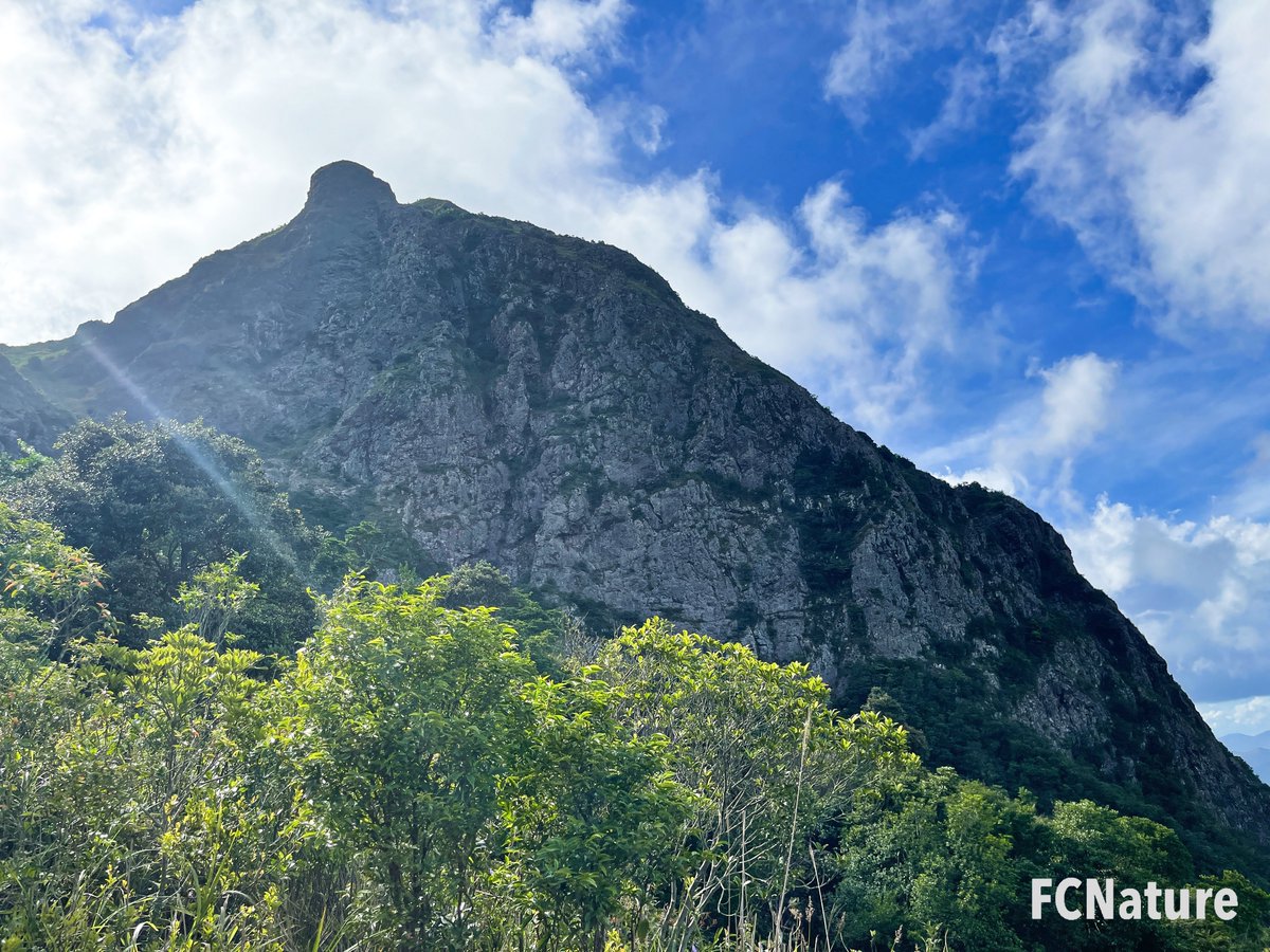 FCNature's tweet photo. Near the top of the Wan Kuk Shan, there is a place for parasailing.
#WanKukShan #parasailing
#hiking #trekking #trailing #green #nature #hikinghk #hikingday #hikingtrail #hikingculture #sports
#FCNature #FCNaturesports #natureinthecity #explore #weekend #hongkong #hk #香港 https://t.co/Vl3daL4O0C