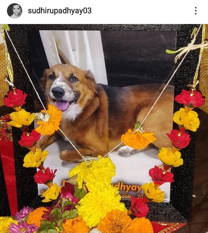 shivarchitm's tweet photo. Some people keep their animal like a son/brother. Respect as a human. Treat as a family member. This is the one #DHOLU by @sudheer___bhaiya
#WorldAnimalWelfareDay #WorldAnimalDay #WorldAnimalDay2021 https://t.co/8OMiJYaoh9