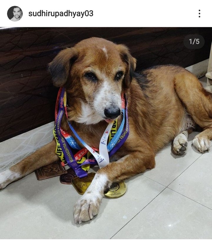 shivarchitm's tweet photo. Some people keep their animal like a son/brother. Respect as a human. Treat as a family member. This is the one #DHOLU by @sudheer___bhaiya
#WorldAnimalWelfareDay #WorldAnimalDay #WorldAnimalDay2021 https://t.co/8OMiJYaoh9