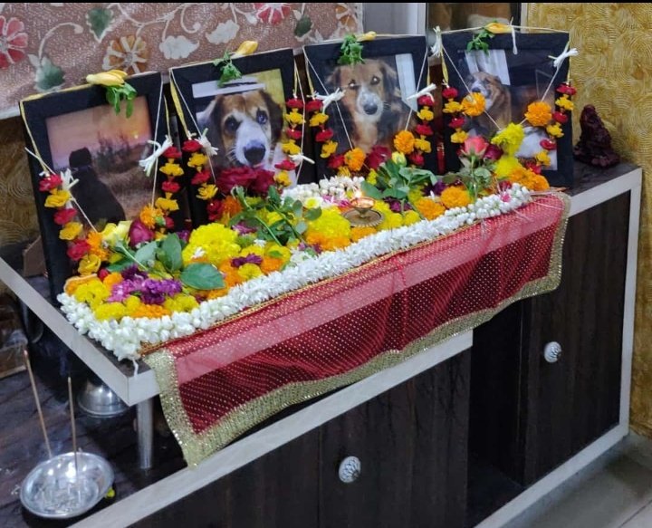 shivarchitm's tweet photo. Some people keep their animal like a son/brother. Respect as a human. Treat as a family member. This is the one #DHOLU by @sudheer___bhaiya
#WorldAnimalWelfareDay #WorldAnimalDay #WorldAnimalDay2021 https://t.co/8OMiJYaoh9