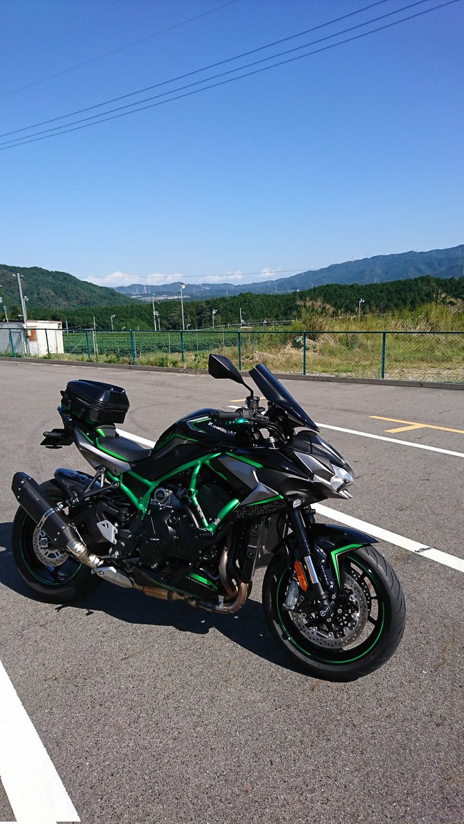 カワサキ ZH2 / ZH2SE 全年式 アンダーカウル レオパルド製 KAWASAKI