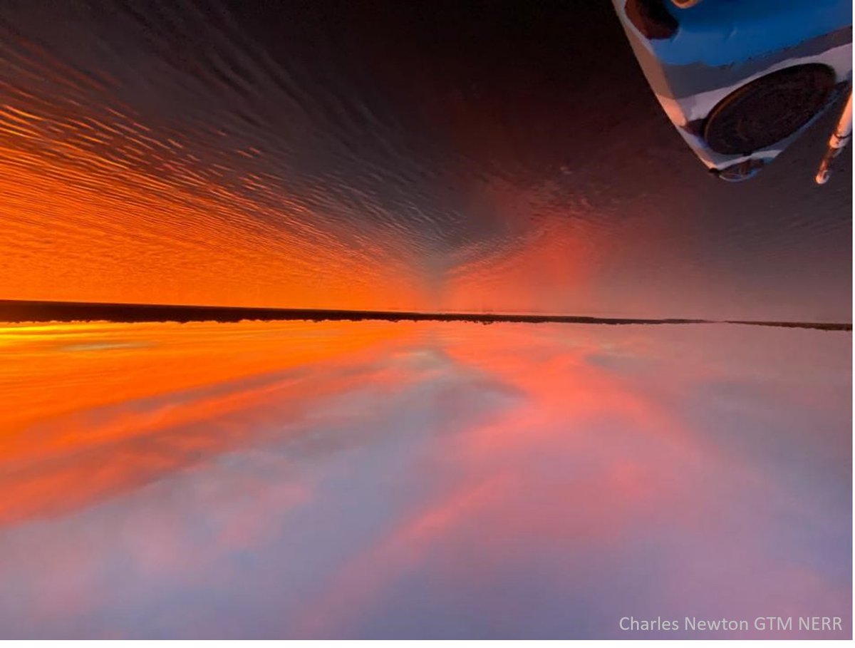 Which way is up?
Estuaries are a perfect place to play &amp; take some time for #WorldMentalHealthDay