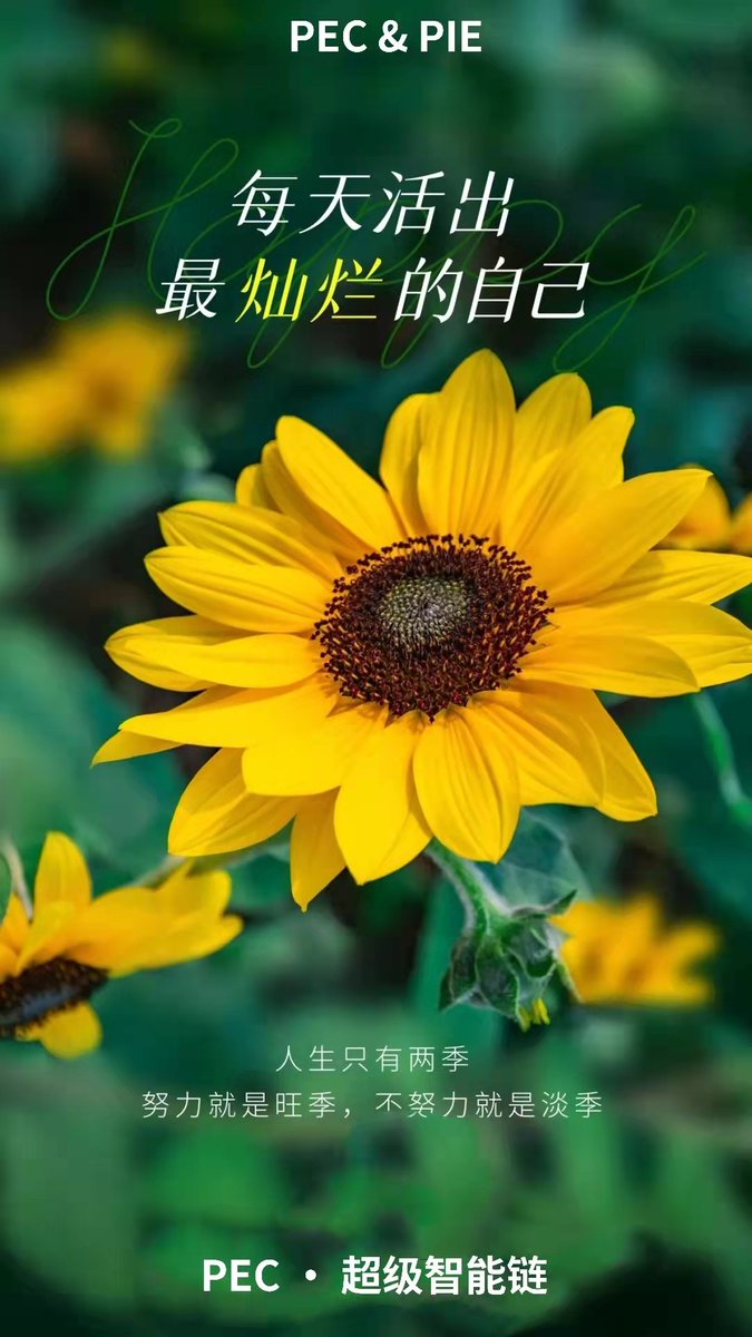 每天活出最灿烂的自己！