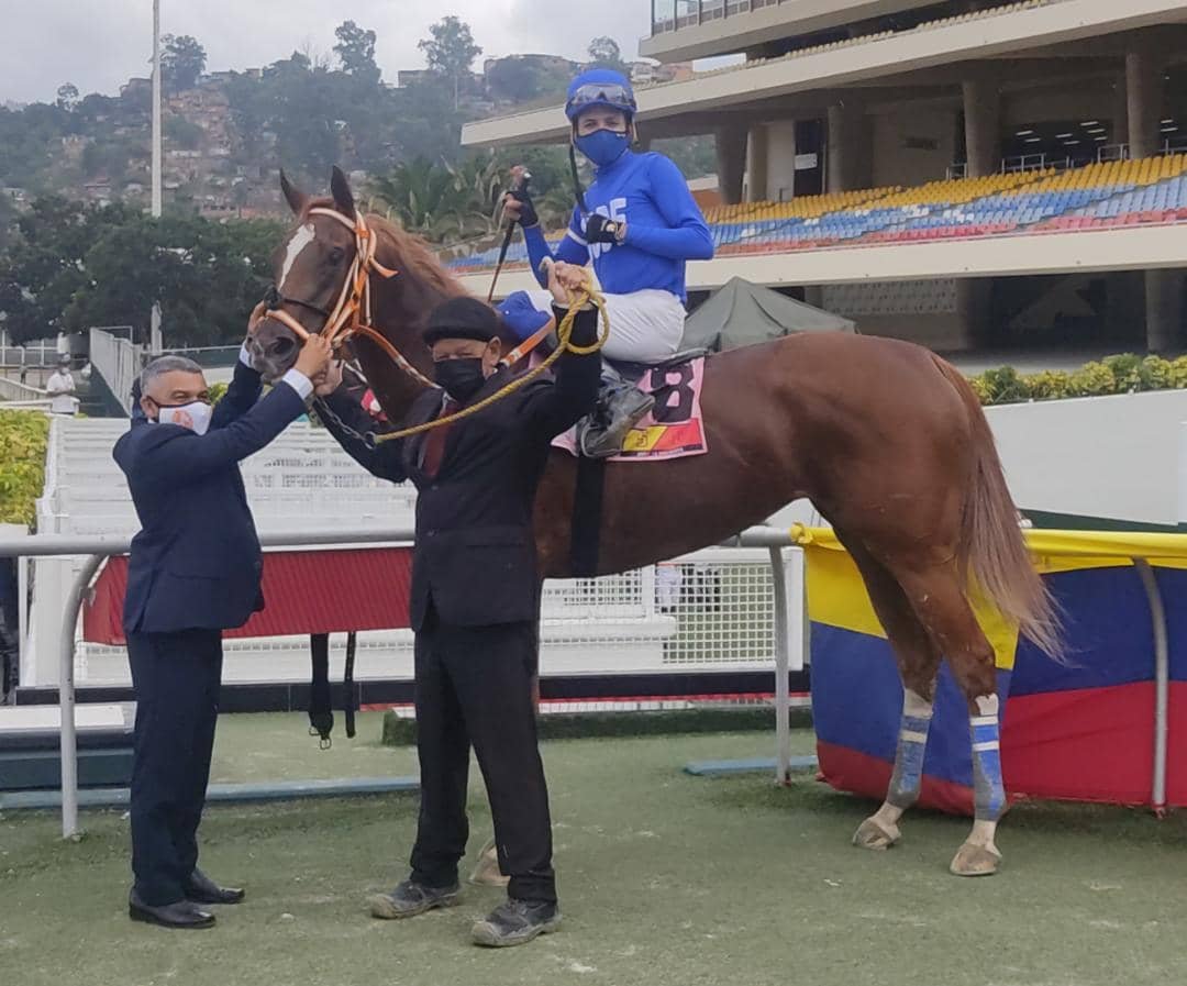 dimensionhipica's tweet photo. #Hipismo | De nuevo respondió la entrevista ganadora en nuestro programa Dimensión Hípica Pronósticos en #Youtube 🔥🇻🇪🏇

Invitado: @CiprianoGil2 con Queen Of Success, la fija del programa. 
@alcidesabreu17💥

¡Muchas gracias Cipriano por la entrevista! 💪

Foto: @OficialINH https://t.co/aG4lZAlx5g