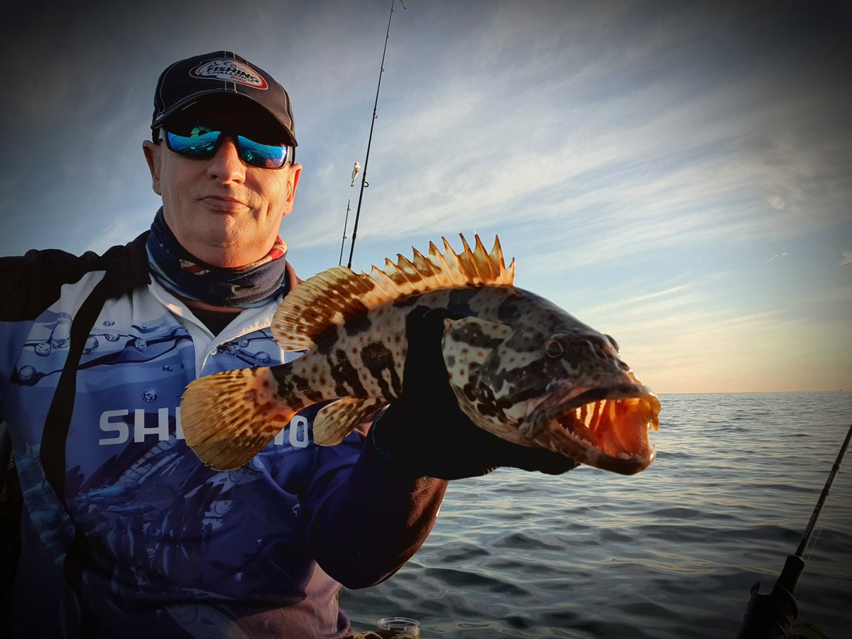 TheTonyRiley's tweet photo. Moreton Bay Queensland is a jewel in @Queensland I am so lucky to live beside it and get fish it. Nice 46cm eastuary Cod yesterday along with a mixed bag of Parrot, Bream and Flathead @shimano.fish
#shimanofish #zman #ttlures #hobiefishing #kayakfishing https://t.co/W6T7laRFF9