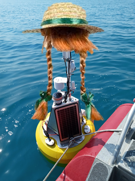 TwoYellowBuoys's tweet photo. @CIGLR_UM @NOAA_GLERL @miseagrant @UMSEAS @IAGLR @RealGLOS @ohioseagrant @LampreyControl @GreatLakesNow @ILINSeaGrant So is the new @ILINSeaGrant Chicago Pier buoy.
#firstoutfit #AnneWithAnE https://t.co/z7OjtT3cA7