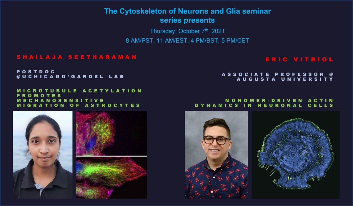 Biljana_Erman's tweet photo. This coming Thursday October 7th #ncyto will host @shailajaseethar and @chillinwithpfn1, so be prepared for equal amount of microtubules and actin this time 🙂. We are looking forward to it! https://t.co/QC0t4svDyP
