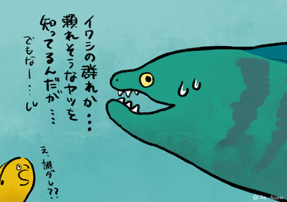 ウツボ Twitter Search Twitter