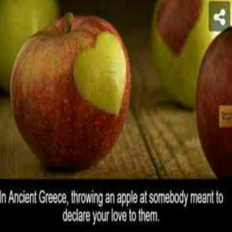 madison__fire's tweet photo. @CamelotStocks @CoverGwaine Picks up an apple. 🍎 @CoverGwaine https://t.co/ugFtP2ZFPK