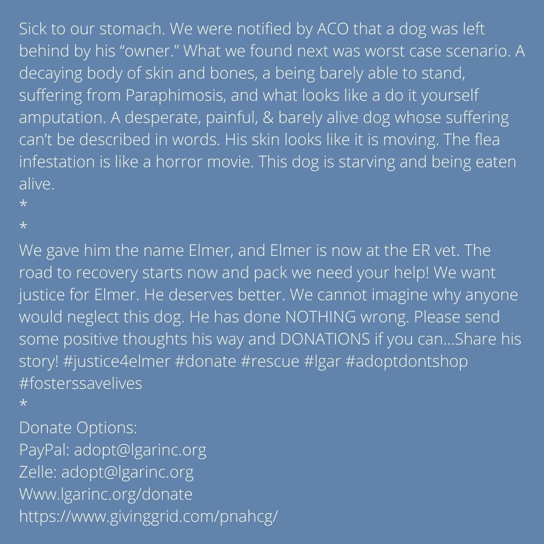 Please read! #justic4elmer #donate #rescue Donate Options: PayPal: adopt@lgarinc.org Zelle: adopt@lgarinc.org lgarinc.org/donate givinggrid.com/pnahcg/