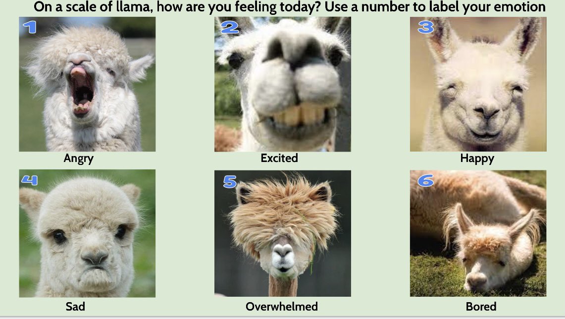 LizBarajas007's tweet photo. It’s not about teaching kids ‘NOT’ to be angry 😡
It’s about teaching them ‘HOW’ to be angry 😤
Teach Ss to describe their emotion & do something with it! Access our links in the comments for a copy of our “ Check-In” & “Emotional
Thermometer” #TeamBCSD #BCSDSEL https://t.co/wFmlrkJdIT