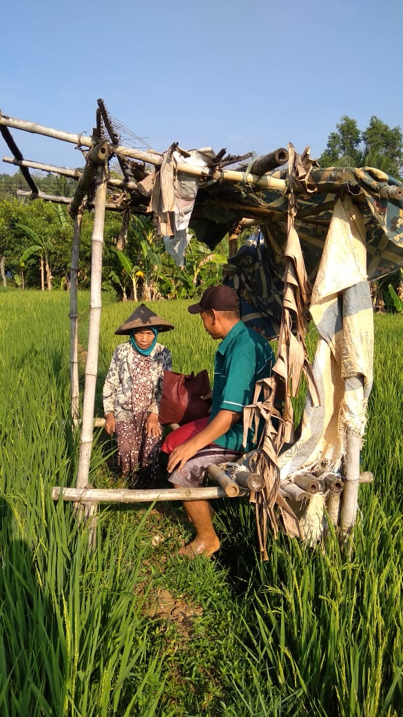 ulumbasthomi's tweet photo. Matur Nuwun *Gus Muhaimin*.
Begitu Kata Mbah Sundari. 
Di Pegunungan Sawahan Nganjuk, setelah mendapat Sembako yang di Anter Pak Ngabidulooh ketua DPAC PKB Kec. Sawahan. @DPP_PKB
@cakimiNOW 
#harlahgusmuhaimin https://t.co/HCrIY06p3R