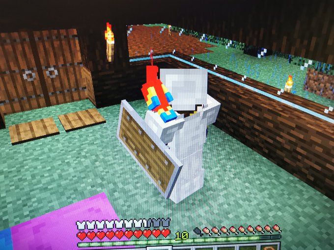 How To Get A Parrot Off Your Shoulder In Minecraft