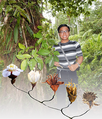 pedoconnective's tweet photo. Join us for the next Melastomataceae Virtual Seminar this Wednesday October 6th (-4 GMT, 8 AM NY, 8 PM Manila) by Jef Mancera on "Asian melastomes matter: A maneuver to the Malay archipelago with the Astronieae"
Register here: ​https://t.co/NkOfDEMibI https://t.co/UEONUk2E2Z