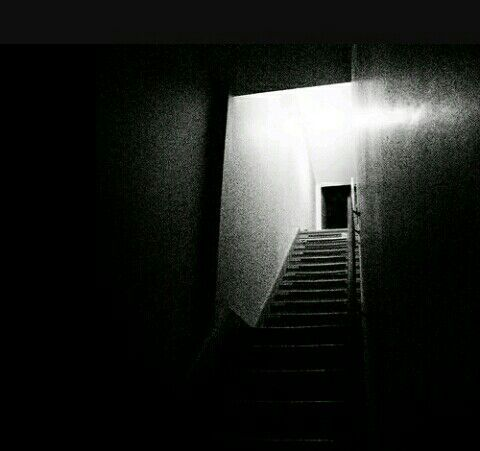 Isaa 🐨 on Twitter: 