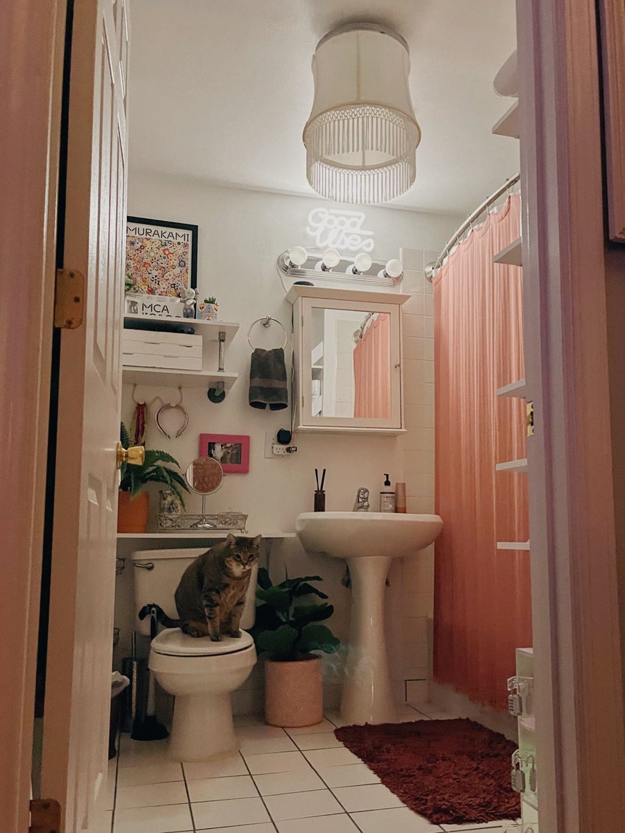 helloimbiancaa's tweet photo. Added a LED light in my lil bathroom and it’s SO CUTE

Biggie is obviously unimpressed https://t.co/RXakUwAuQV