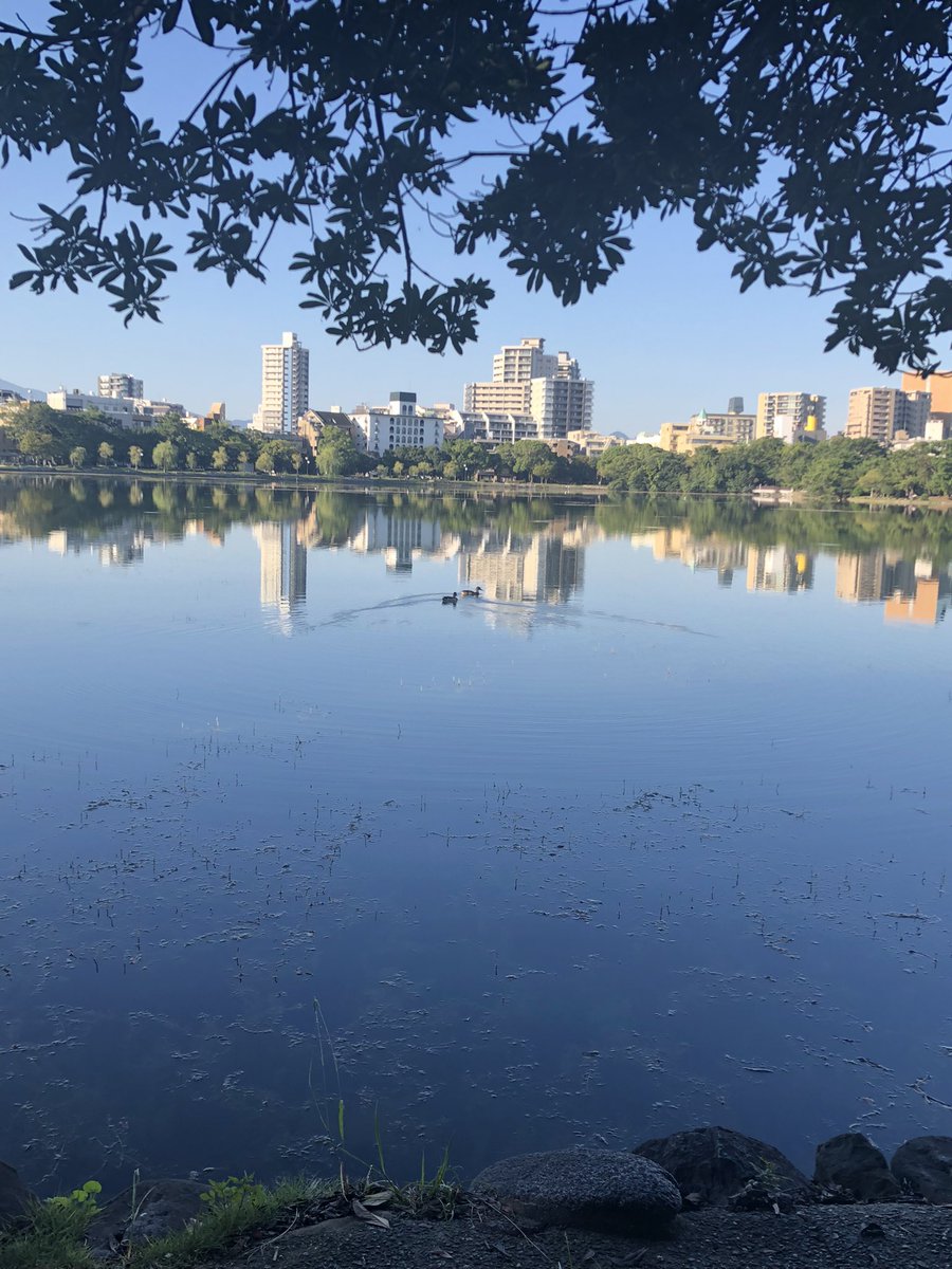 kao_world's tweet photo. morning meditation 

朝の瞑想、気持ち良すぎる✨✨

特にアウトドア。
水面も癒されるけど、心地よい風がたまらない✨

カラダの芯に感じるなんとも言えない安心感🍀

#meditation  #feelgood https://t.co/hVXFOqFQGU