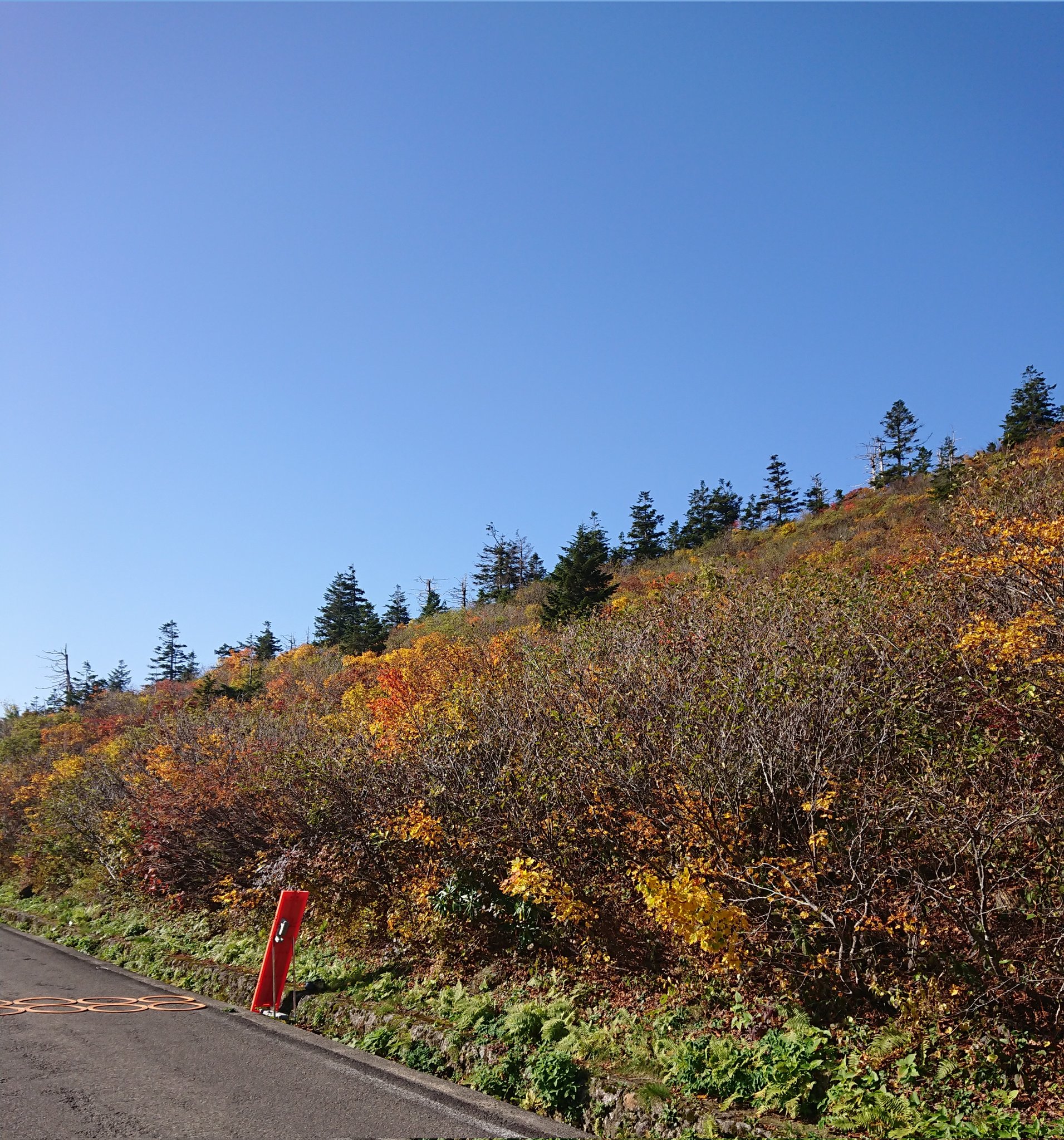 蔵王山 本日の蔵王の紅葉 いいね 蔵王町ウェブカメラより 御釜 お釜 蔵王 宮城 山形 紅葉 雲海 行楽 観光 景色 絶景 Zao Mtzao Mountzao T Co Fsiryrf8eo T Co Oppacyw3ht Twitter