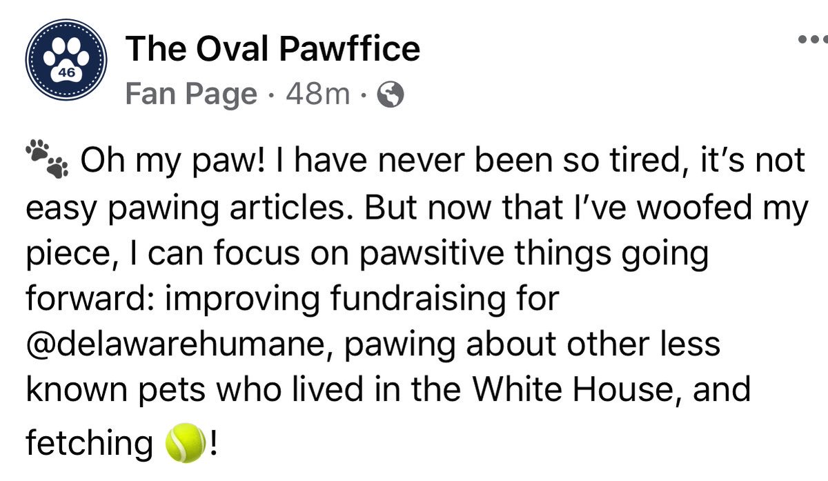 AnubisSekhmet's tweet photo. @LouisianaGov #Delaware #DelawareHumane @delawarehumane supports Sandra Bratcher & her nefarious #TheOvalPawffice. She is running a targeted harassment smear campaign from the comfort of her home-endangering an American, her mission, team & animals operating in an unstable war zone. @TeamBeto https://t.co/wxptnPWyTG