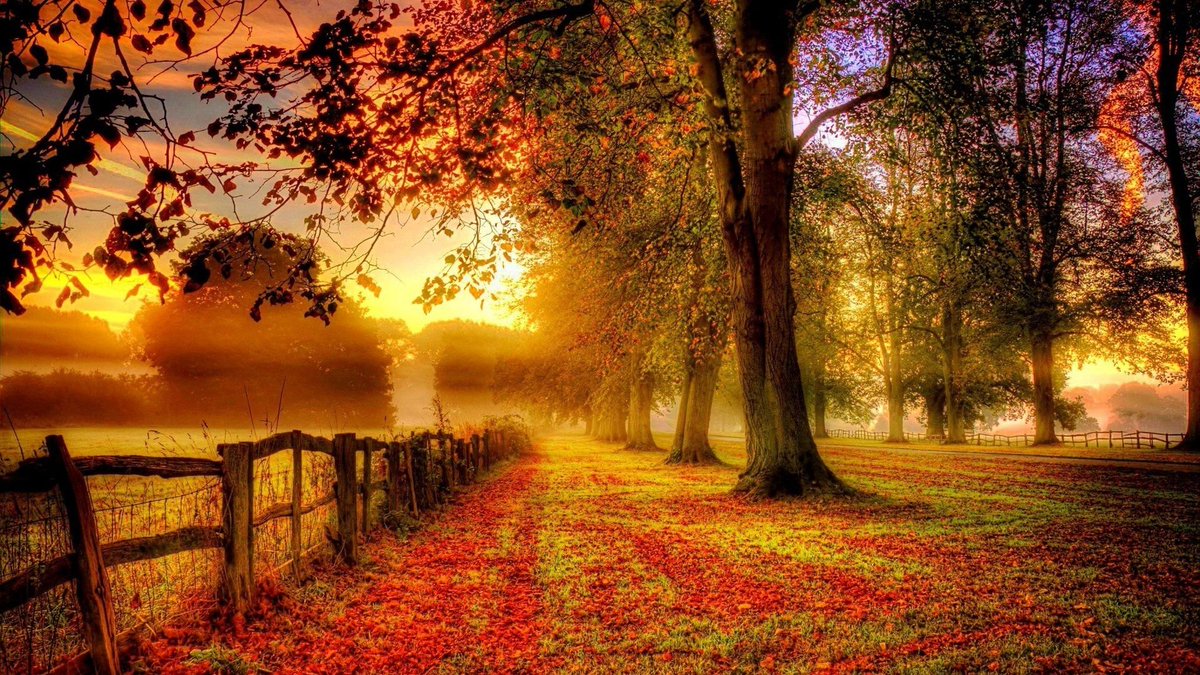 giannis2221963's tweet photo. Happy new week 🍁 https://t.co/FqffZORAqk
