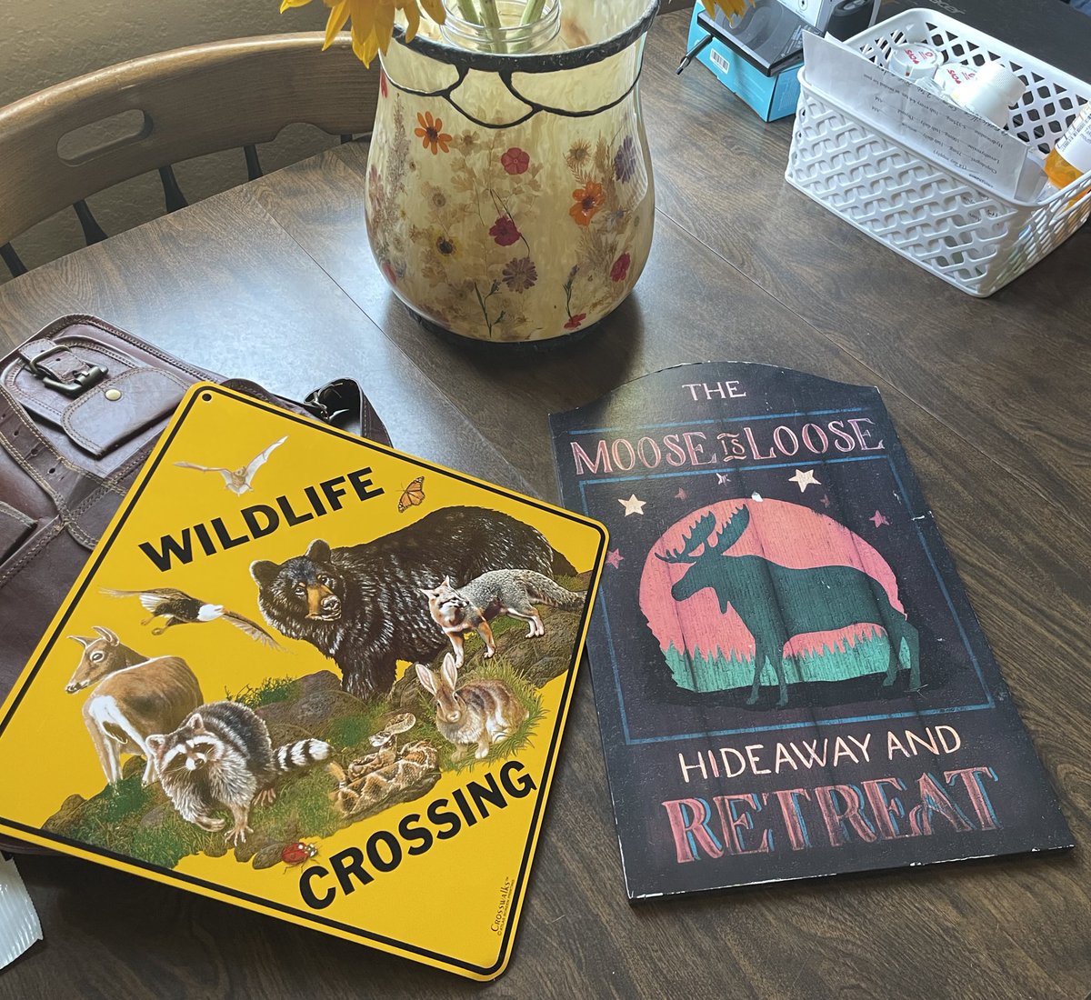 petiteghoul's tweet photo. got some very important pieces of room decor that i think added a lot to my room https://t.co/vZrzKq8FOz